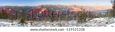 First snow in alpine peaks Gorgany. Coniferous forests and deciduous beech, with haze glow sunlight at sunset with beautiful light effects in the clouds. Autumn red blueberry bushes