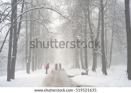 After a night of snow blizzard foggy morning silhouettes of passers citizens walking their pets under the snow-covered trees in the background of the cold urban park in Ukraine
