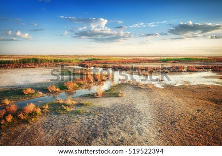 Stream of mineral water goes by dry ground under beautiful sky. Panorama of nature near salt lake Elton. Astrakhan region, Russia. Picture shoot in May. Spring is beautiful time.