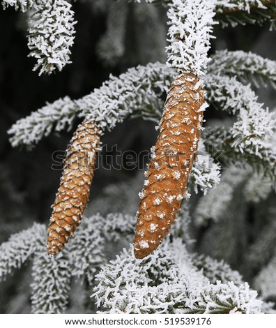 nature in winter and cold season, winter landscapes and facilities photos micro-stock