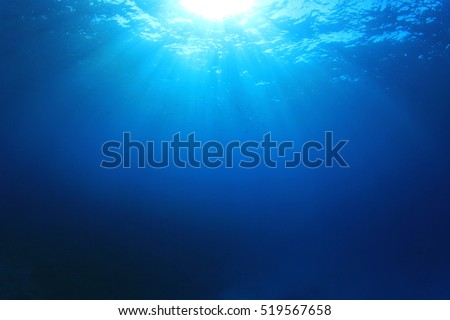 Underwater sea ocean background photo Royalty-Free Stock Photo #519567658