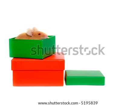 mouse n a box.