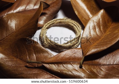 Composition of the dry brown autumn leaves magnolia. Rough rustic rope rolled in a circle in the center, with space for text on white background.