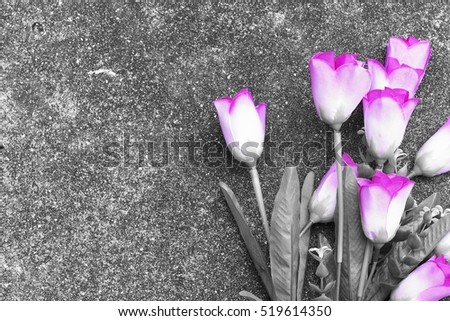 purple flower on black and white background tone.
