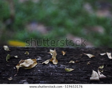 small fine dried brown leaves leafs falling on old rough grunge wooden bench seat in a park with ground floor blur for use as picture backdrop or background