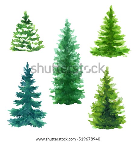 evergreen trees clip art set, Christmas fir trees illustration, nature, conifer, rural landscape, outdoor plants, isolated on white background