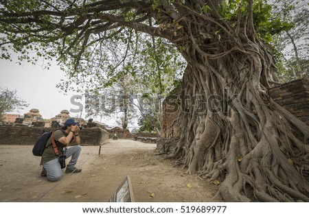 Traveller take a photo of Buddha statue in old temple in Ayuthaya province of Thailand