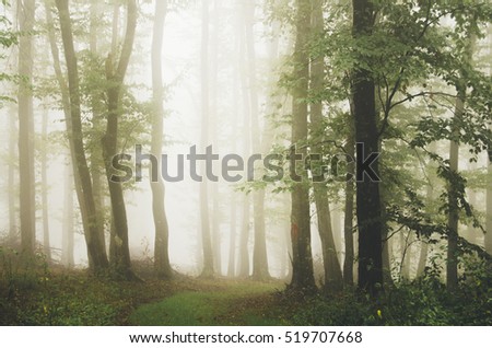 green natural forest