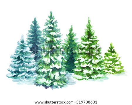 watercolor snowy forest illustration, Christmas fir trees, winter nature, conifer, holiday background, rural landscape, outdoor plants, isolated on white background