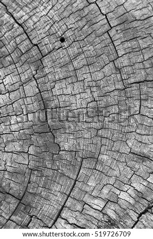 Nature wood texture
