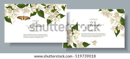 Vector jasmine flower banners. Design for tea, natural cosmetics, beauty store, organic health care products, perfume, essential oil, homeopathy, aromatherapy. With place for text. On white background