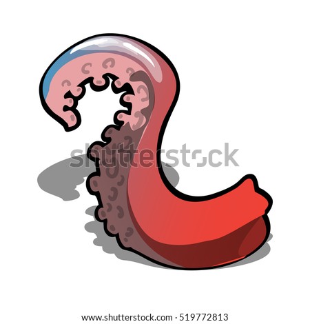 Red octopus tentacle isolated on a white background. Vector illustration.
