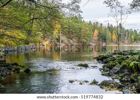 A nice image of a forest lake in Tyresta National Park, Sweden Royalty-Free Stock Photo #519774832