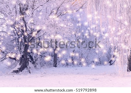 Christmas Holiday Background with color snowflakes. Winter morning landscape. Snowfall on frozen trees background.