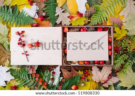 Autumn composition of colorful leaves and box filled with pines and small apples with blank craft envelope on wooden background. Top view, flat lay, copy space.