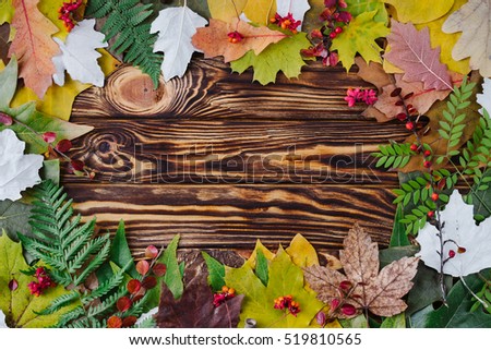 Autumn composition of colorful leaves and berries on wooden background. Top view, flat lay, copy space. Thanksgiving day concept.