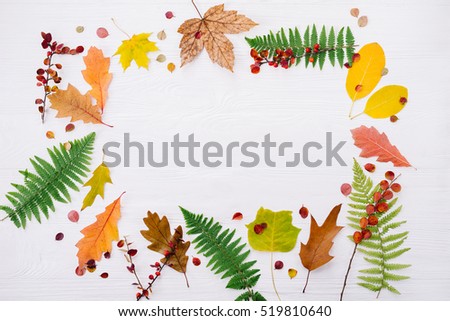 Autumn composition of colorful leaves on white wooden background. Top view, flat lay, copy space. Thanksgiving day concept.
