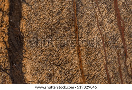 natural beautiful marble in contrasting colors warm, saturated shades, marble background texture, closeup, marble set with thirty three photos