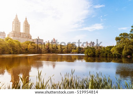 Central park in New York city