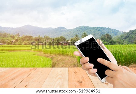 woman use mobile phone and empty wooden table with organic rice fields and mountain view in thailand 