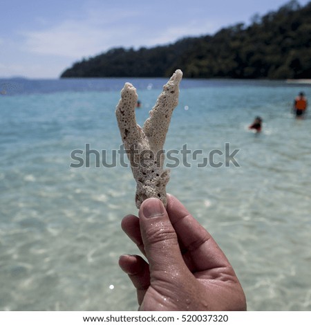 small white coral in  hand.