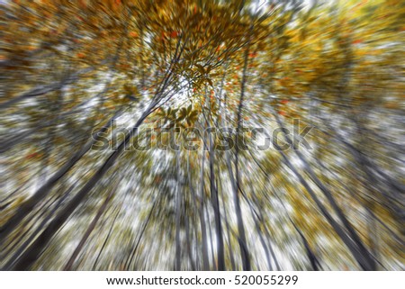 motion blur of Surreal colors Fantasy tropical jungle forest