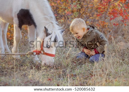 Boy looking at pony at park