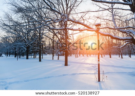 winter sunset in snow covered park