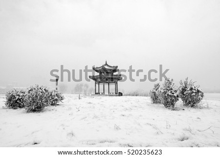 snow-covered landscape in a park, closeup of photo