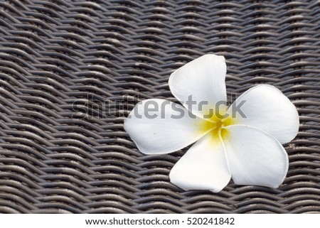 White flowers on a wicker chair