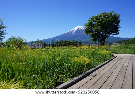 Japan mountain