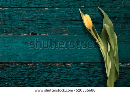 beautiful yellow tulips on wooden background, father, mother, women, valentine's day concept