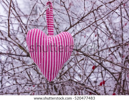 heart in the form of pillows on a background of a bush with thorns in the frost.Valentine's Day