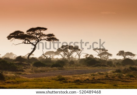 Misty african fogy landscape Royalty-Free Stock Photo #520489468
