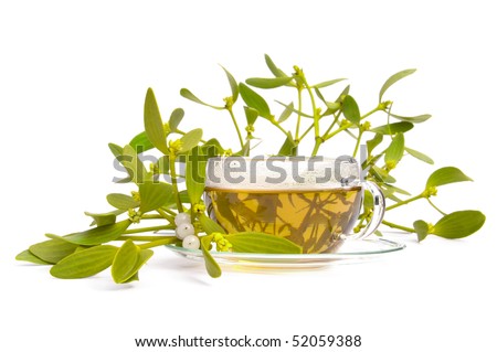 tea mistletoe