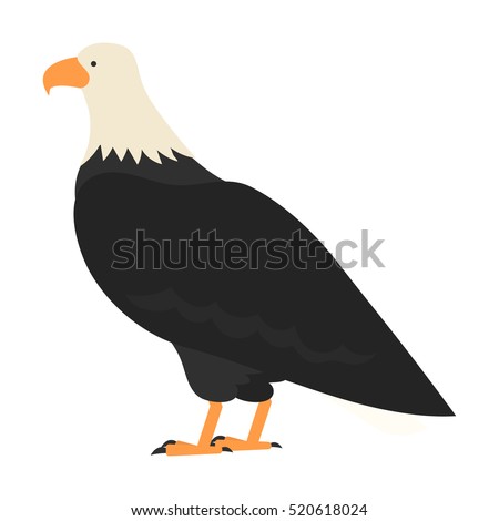 flat bird isolated on white background, beautiful vector illustration bald eagle, white headed