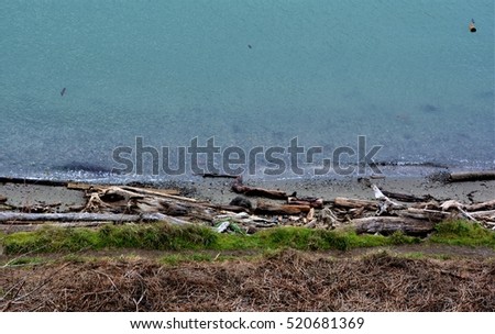 Layered Beach:  Shallow waves brush the beaches of Discovery Park. Royalty-Free Stock Photo #520681369