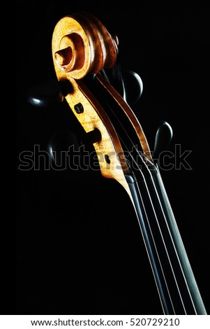 Violin musical instruments of orchestra Scroll violin head isolated on black
