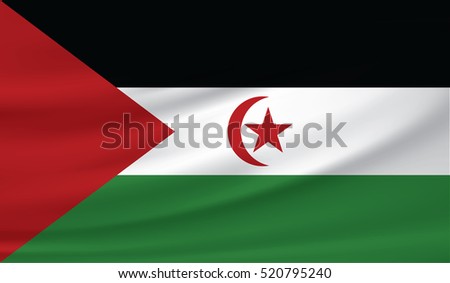 western sahara flag