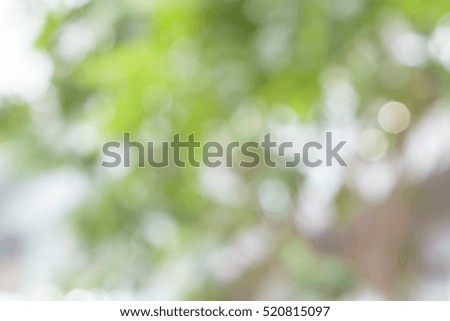 White and green nature bokeh circular shape, abstract background.