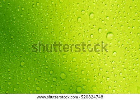 the water drop on fresh green  background