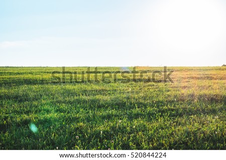 Background photography of bright sunny lush grass field under blue sunny sky. Outdoor countryside meadow nature. Rural pasture landscape of plain grass background. Agricultural grass field pastures Royalty-Free Stock Photo #520844224