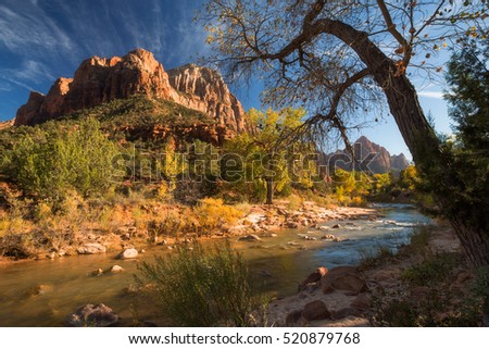 View of the Watchman mountain and the virgin river in Zion National Park located in the Southwestern United States, near Springdale, Utah  