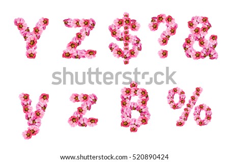 Malva (Alcea rosea hollyhock) The flowers are arranged alphabetically. Y, Z,  isolated on white background, clipping Path