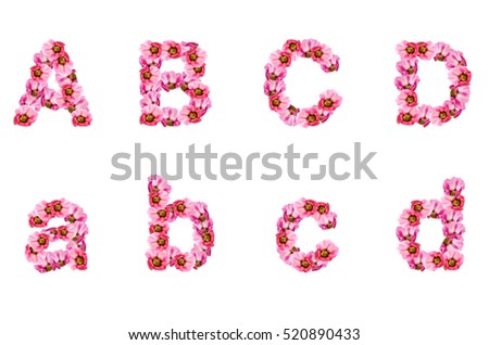 Malva (Alcea rosea hollyhock) The flowers are arranged alphabetically. A, B, C, D,  isolated on white background, clipping Path