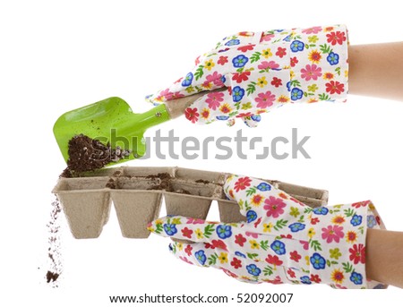 Gardener wearing gardening gloves is using a green shovel to place soil from a silver pail into eco-friendly Composted Cow Manure Pots. isolated on white 6239