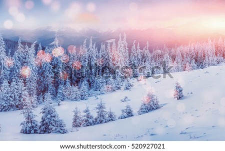 Mystic sunset in the mountains. Photo greeting card. Dramatic and picturesque scene. Bokeh light effect, soft filter. Carpathian, Ukraine, Europe.