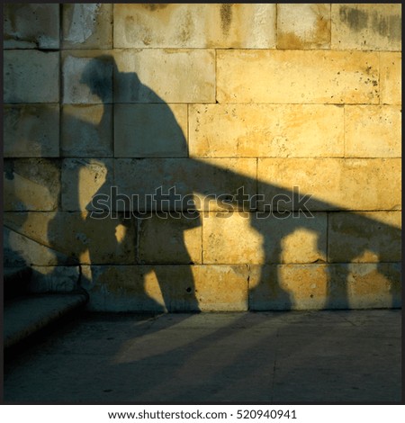 Shadow on a wall  Royalty-Free Stock Photo #520940941