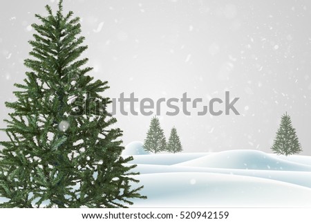 Winter landscape with snowy fir trees soft background