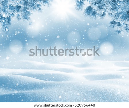 Winter bright background. Christmas landscape with snowdrifts and pine branches in the frost. Royalty-Free Stock Photo #520956448